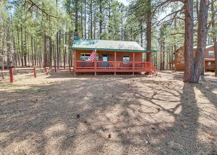 Cozy + Casita | Forest Retreat Holiday home *